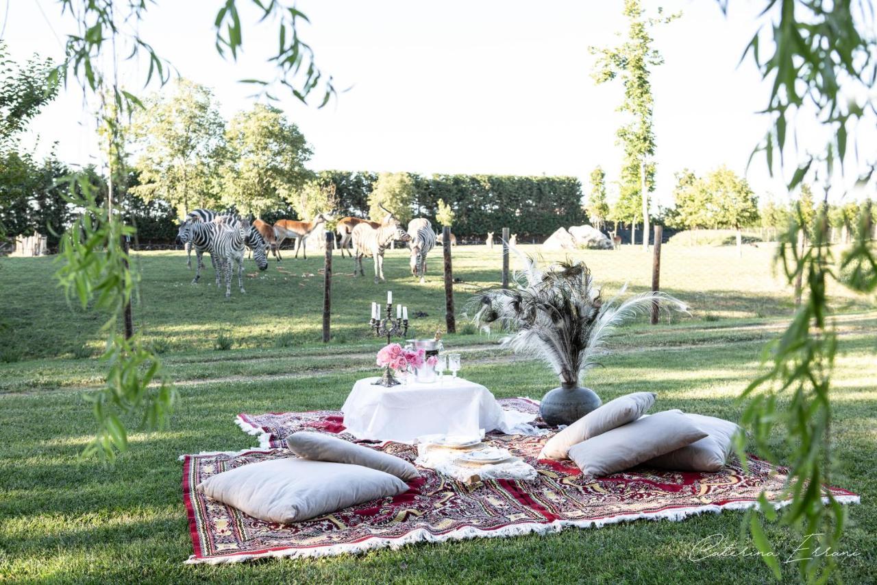 Ca'Bevilacqua Bed&Breakfast Bertinoro Zewnętrze zdjęcie