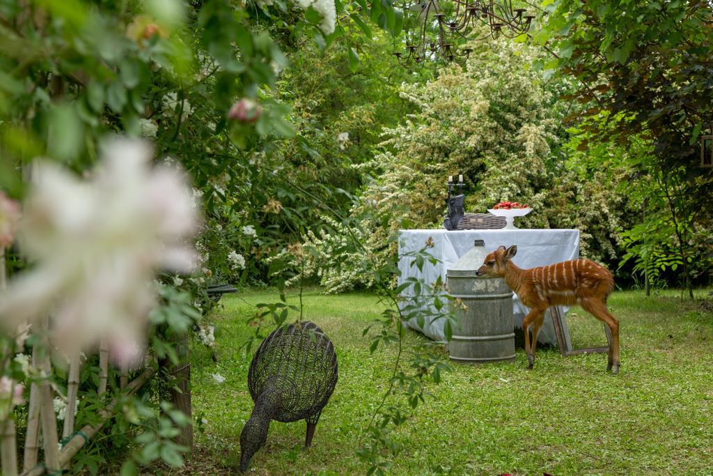 Ca'Bevilacqua Bed&Breakfast Bertinoro Zewnętrze zdjęcie