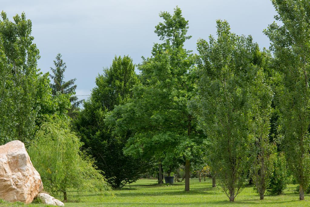 Ca'Bevilacqua Bed&Breakfast Bertinoro Zewnętrze zdjęcie