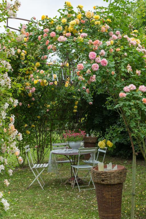 Ca'Bevilacqua Bed&Breakfast Bertinoro Zewnętrze zdjęcie
